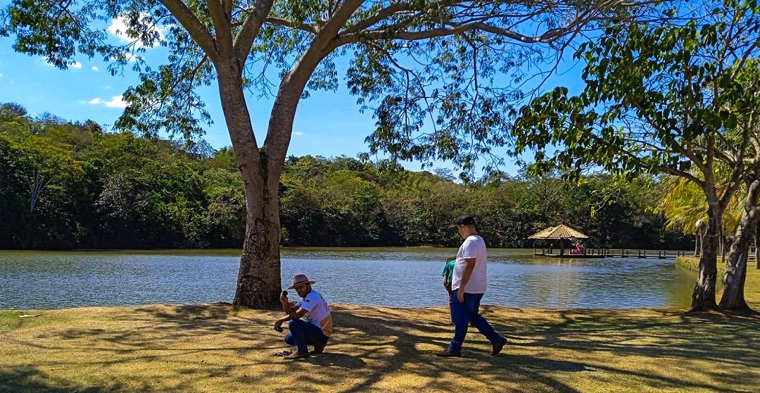 EXPANSÃO DA COLETA DE SEMENTES CHEGA A OLIVEIRA DE FÁTIMA, NOVA ROSALÂNDIA, PUGMIL, PARAÍSO E PORTO NACIONAL