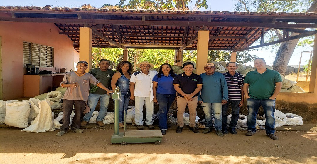 ENTREGA DAS SEMENTES COLETADAS: UMA ETAPA CRUCIAL PARA O CULTIVO DE MUDAS