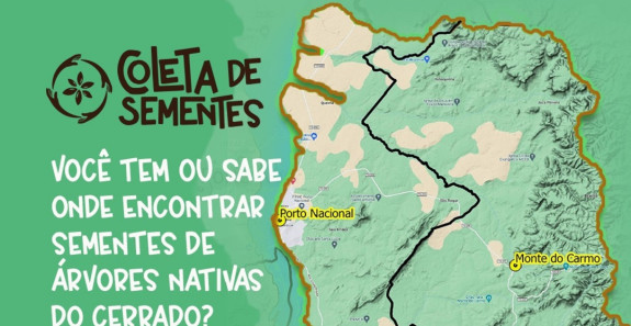 2ª CAMPANHA COLETA DE SEMENTES - PORTO NACIONAL/MONTE DO CARMO