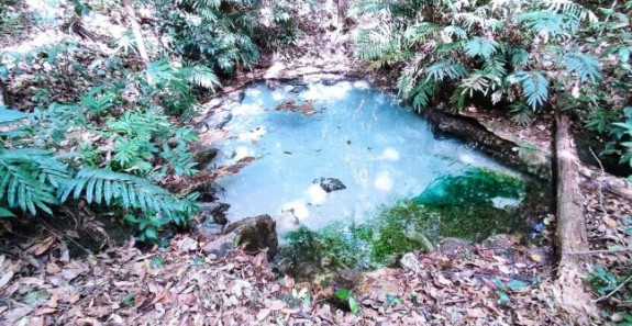 REVITALIZAÇÃO DE NASCENTES A TODO VAPOR NA BACIA HIDROGRÁFICA DO RIO MANUEL ALVES