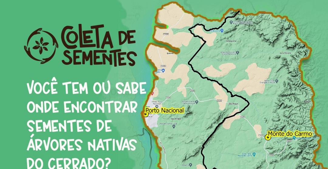 2ª CAMPANHA COLETA DE SEMENTES - PORTO NACIONAL/MONTE DO CARMO