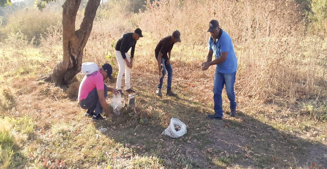 COLETA DE SEMENTES PELO CBHRMA: UMA ETAPA FUNDAMENTAL PARA A PRESERVAÇÃO DO RIO MANUEL ALVES