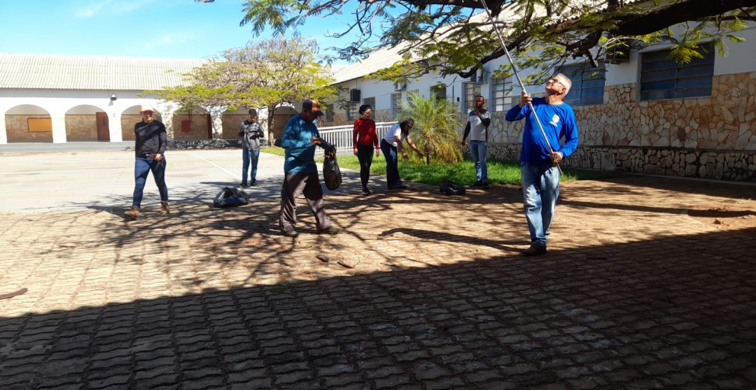 SEGUNDA ETAPA DA COLETA DE SEMENTES DO CERRADO PELO CBHLP INICIA EM PORTO NACIONAL E MONTE DO CARMO