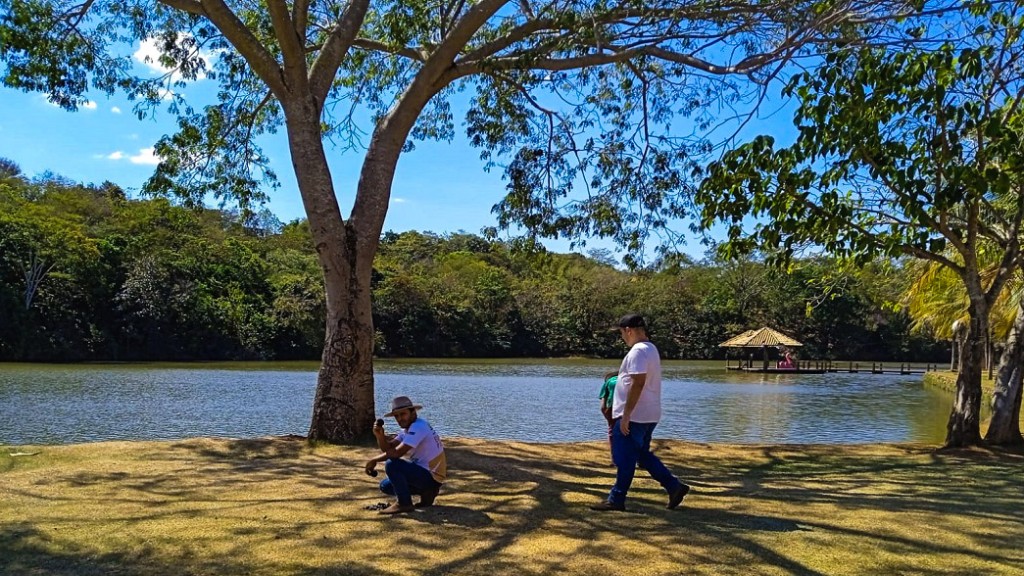 Primeiro dia da 4ª etapa da coleta de sementes