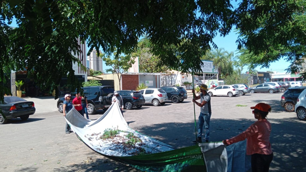 3º dia de coleta de sementes - palmas - porto nacional